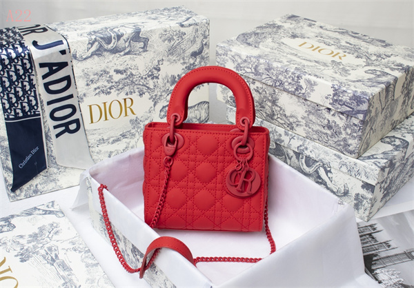 Dior Bags AAA 006